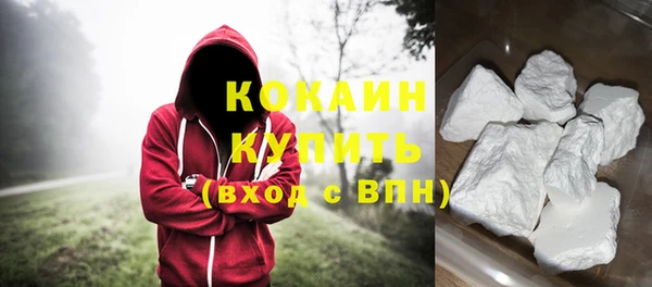 индика Беломорск