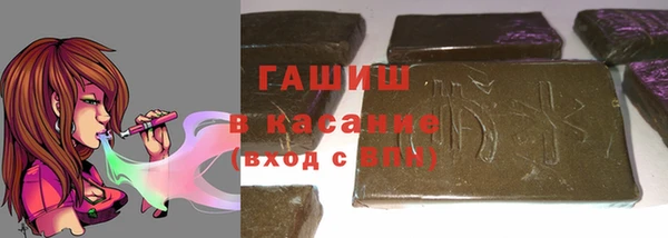 индика Беломорск