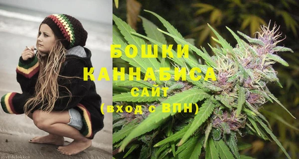 индика Беломорск