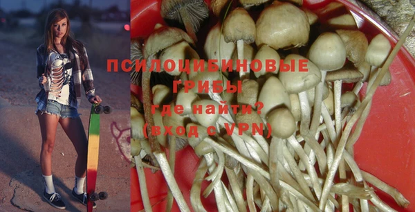 дживик Белокуриха
