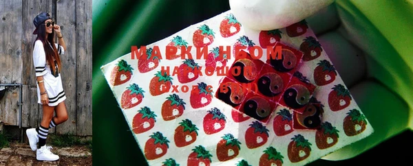 индика Беломорск