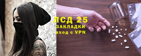 индика Беломорск