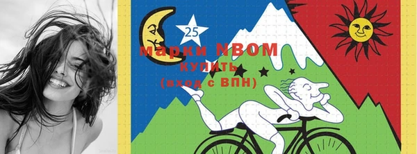 дживик Белокуриха