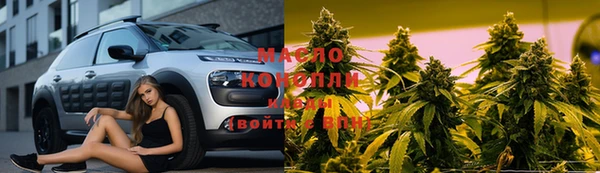 индика Беломорск