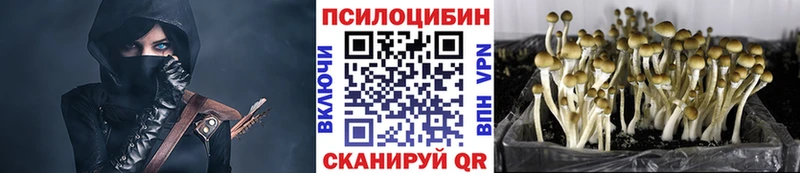 Псилоцибиновые грибы GOLDEN TEACHER  Ярославль 